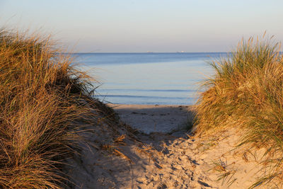 Scenic view of sea against clear sky