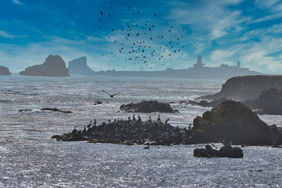 Scenic view of sea against sky