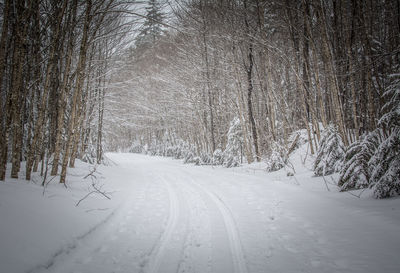 Snow covered road amidst trees on field during winter