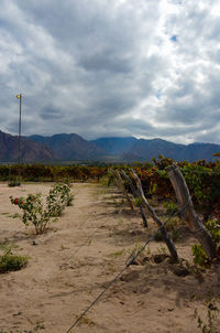 Dirt road amidst field against sky