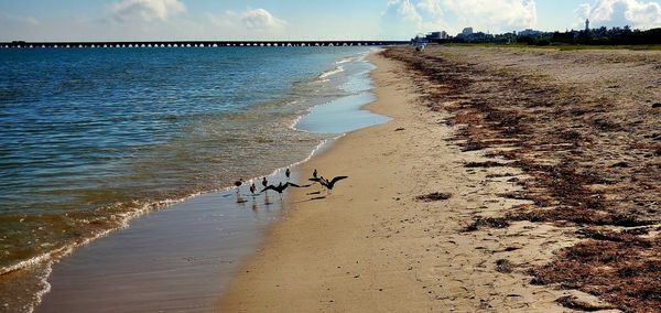 Scenic view of beach