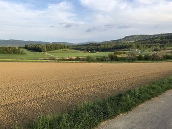 Scenic view of agricultural field against sky