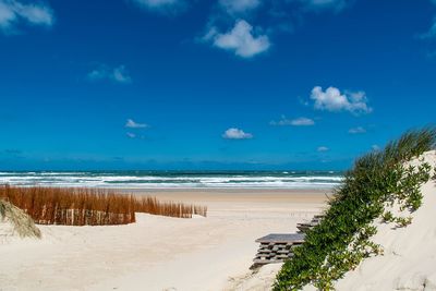 Scenic view of beach against blue sky