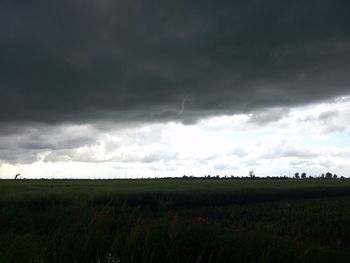 Scenic view of grassy field against cloudy sky