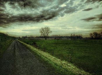 Trees on field against cloudy sky