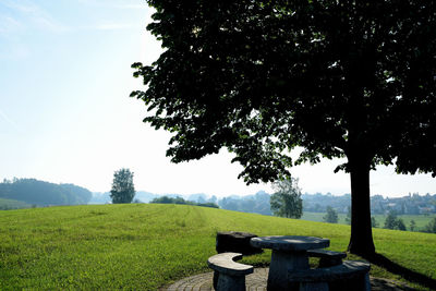 Tree on field against sky