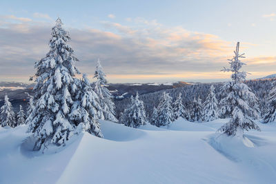 Snow covers lot