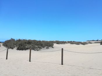 Scenic view of beach against clear blue sky