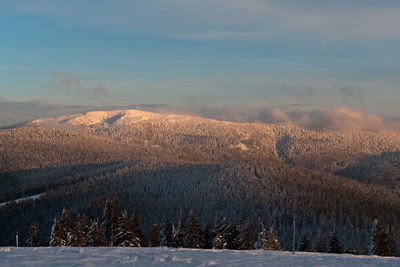 The peak of pilsko is covered with snow. winter in the beskids.