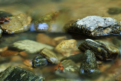 Close-up of stones on rock