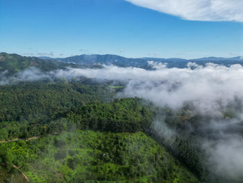 environment