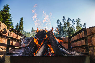 Flames rising beautifully into clear blue early evening summer sky from wooden logs 