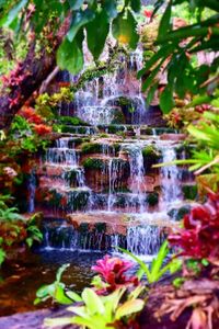 Water flowing over lake in forest