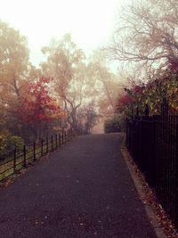 Empty road passing through forest