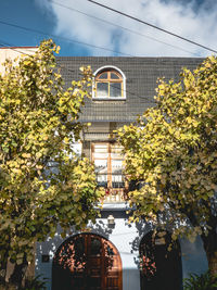 Trees in front of building