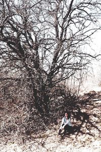 tree
