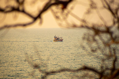 Boat sailing on sea