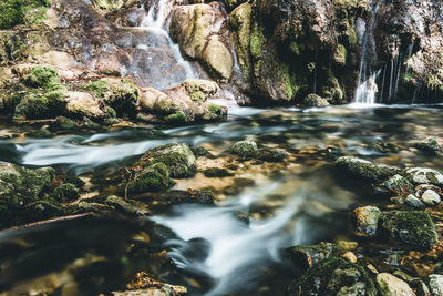 Scenic view of waterfall in forest