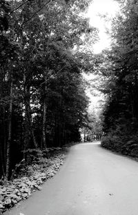 Road passing through trees