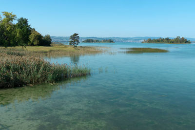 Scenic view of lake against clear blue sky