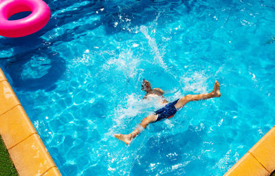 High angle view of jellyfish swimming in pool