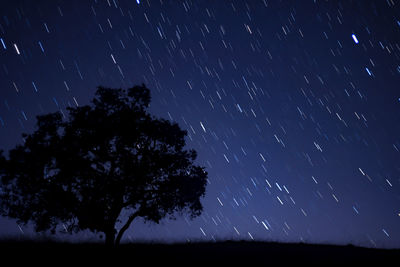 Silhouette tree against star field at night