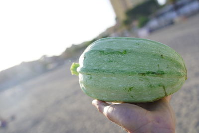 Close-up of hand holding fruit
