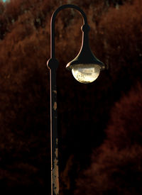 street light