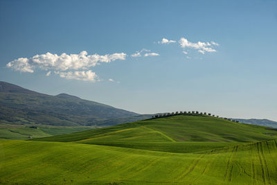 Scenic view of agricultural field against sky