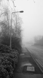 Empty road along trees