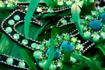 Full frame shot of plants