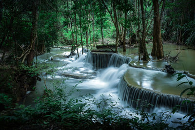 Scenic view of waterfall in forest