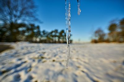 Surface level of water