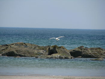 Scenic view of sea against clear sky