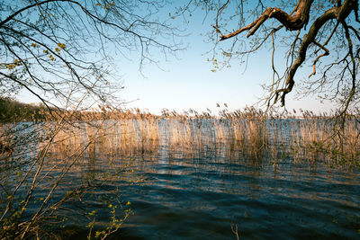 Scenic view of lake against clear sky