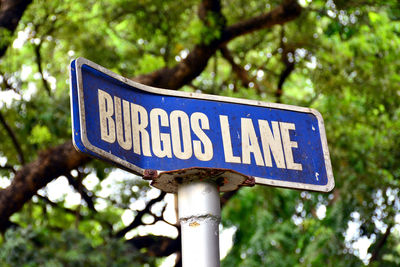 Close-up of information sign against trees