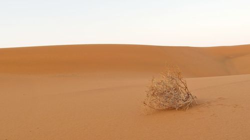View of desert against clear sky