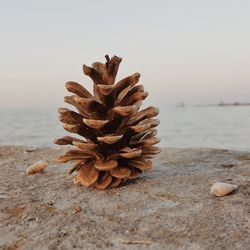 Close-up of pebbles on shore