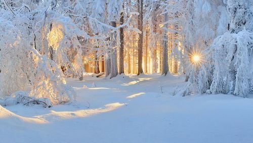 Scenic view of snow covered landscape