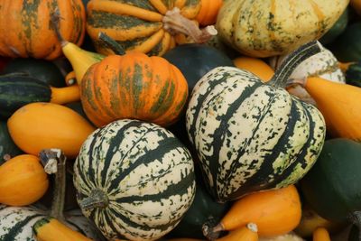 Close-up of pumpkins for sale at market