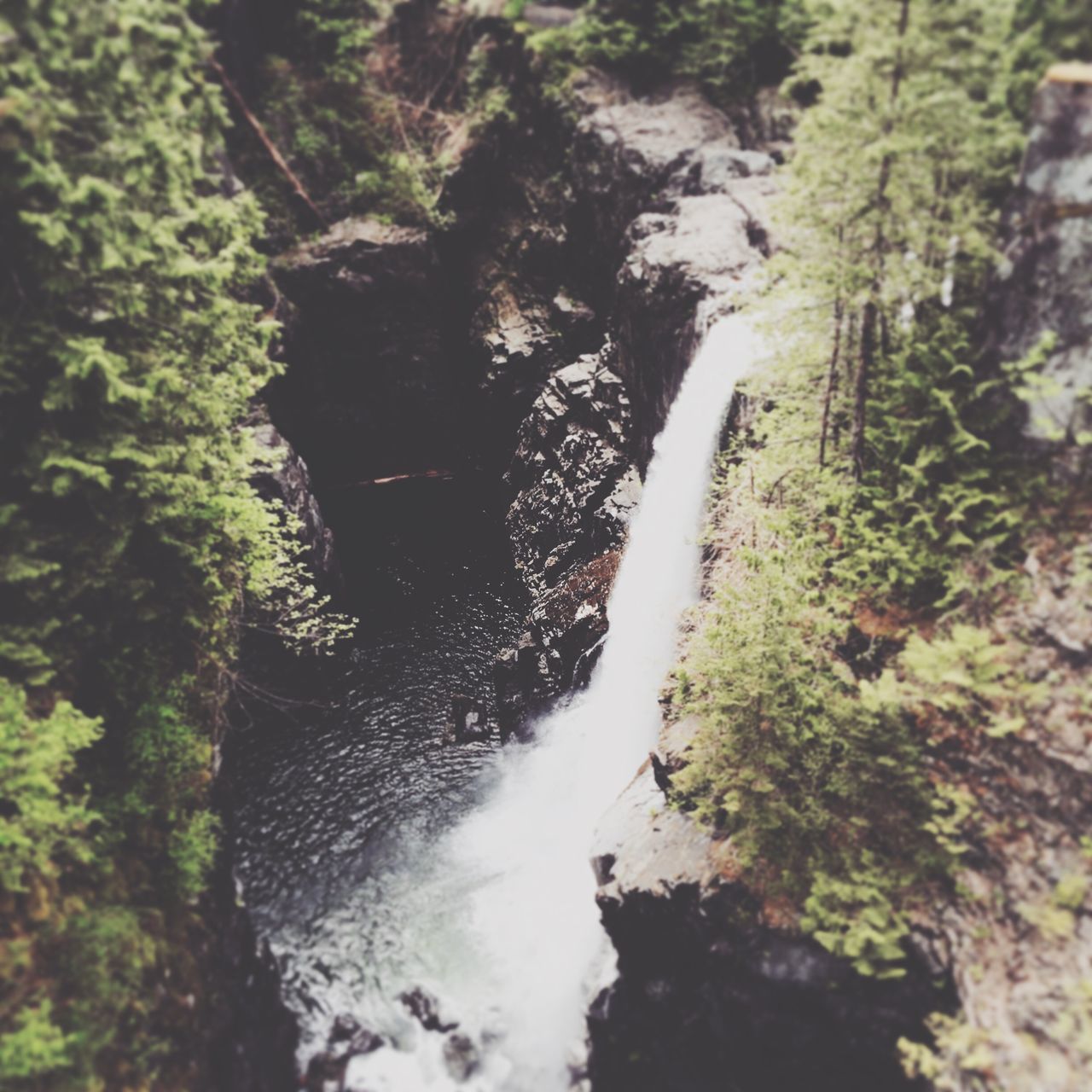 Elk Falls Provincial Park