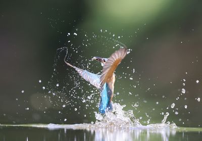 Low angle view of woman splashing water