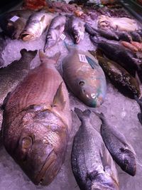 High angle view of fish for sale in market