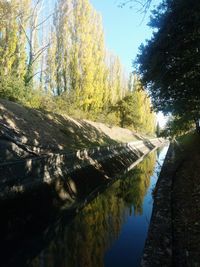 River amidst trees in forest against sky