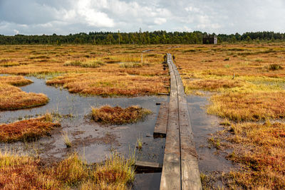 Scenic view of agricultural field