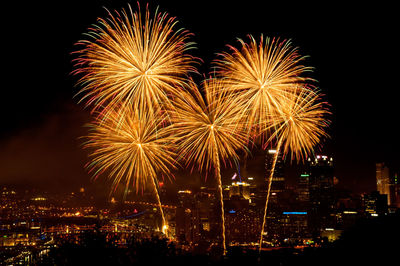 Firework display at night