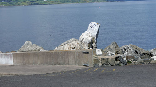 View of animal on rock at beach