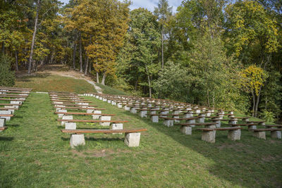 Trees growing in cemetery