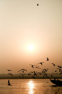 Birds flying over river against sky during sunset