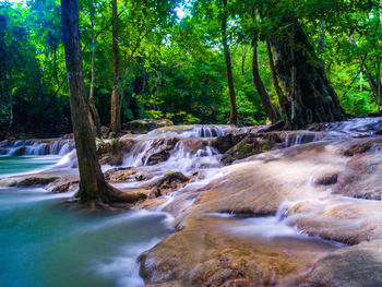 Scenic view of waterfall in forest